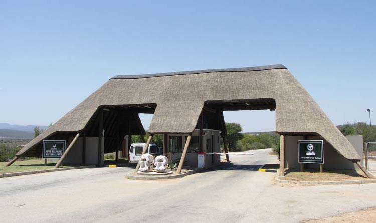 Park Narodowy Addo (Addo Elephant National Park)